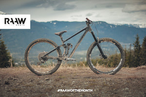 Madonna V2.2 "Park Rat" - RAAW of the Month September