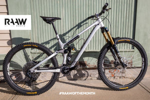 Madonna V3 "Silver Bullet" - RAAW of the Month February