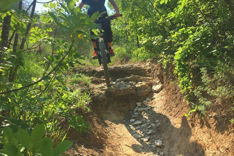 Jibb
